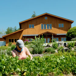 Badger Grounds Regenerative Garden