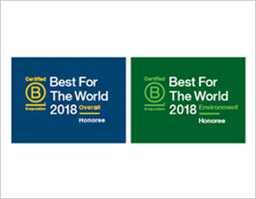 Badger Award - 2019 B Corp Best for the World
