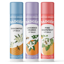 Load image into Gallery viewer, organic lip balm holiday 3 pack red box sticks