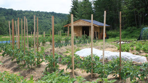 When Life Gives You Zinc Waste, Make Compost!