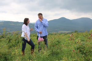 Handpicked organic roses