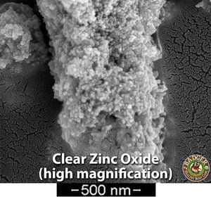 clear zinc oxide scanning electron microscope photograph