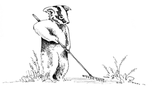 badger illustration gardening