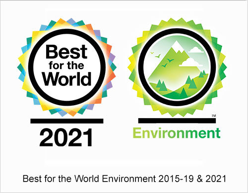 BCorp Best for the World 2021