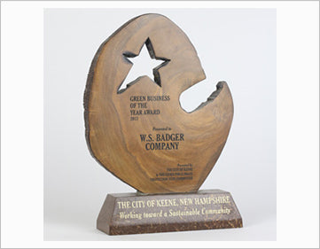 Badger Award - 2013 Keene NH Green Business of the Year