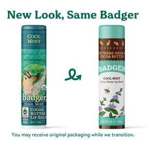 cool mint cocoa butter lip balm new look, same badger