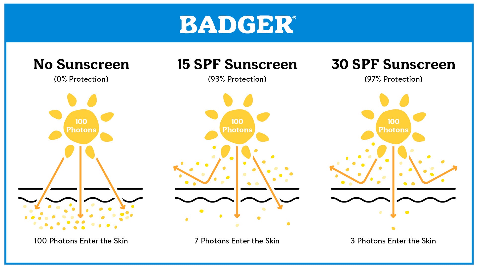 What Is SPF Sunscreen Sun Protection Factor Explained Badger