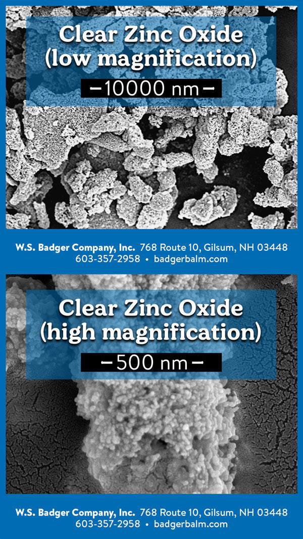 clear zinc oxide scanning electron microscope image