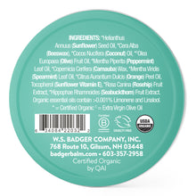 Load image into Gallery viewer, mint lip butter ingredients
