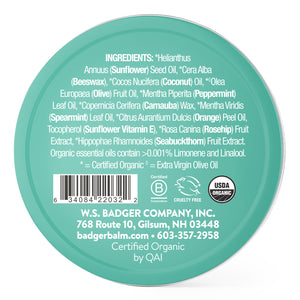 mint lip butter ingredients