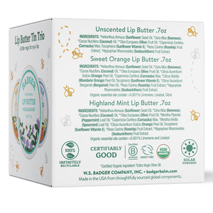 organic lip butter trio box back
