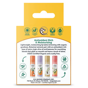 classic lip balm 4 pack gold box back