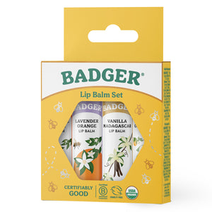 classic lip balm 4 pack gold box angled