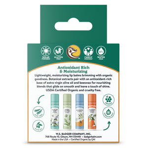 classic lip balm 4 pack green box back