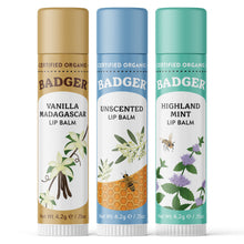 Load image into Gallery viewer, organic lip balm holiday gift 3 pack blue sticks
